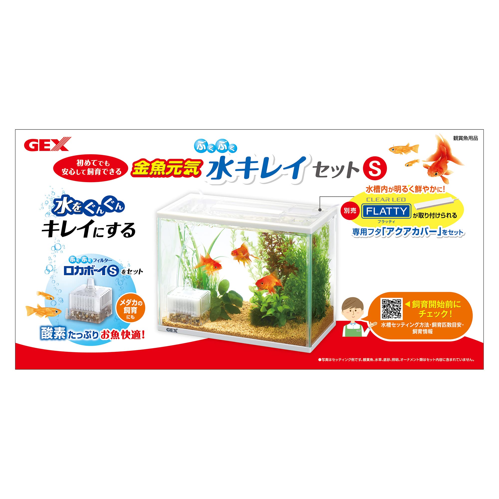 金魚　様 ショーベタ専門店 よこはま金魚HM ホワイトファンシー ローズ